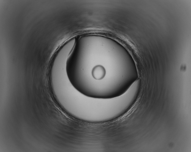 X0000098031357200804251405