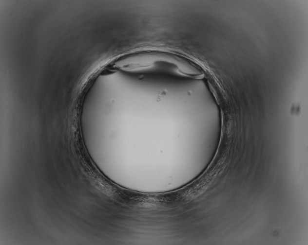 X0000098031359200804251405