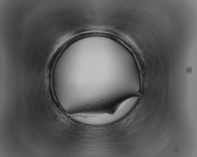 X0000098031360200804251405