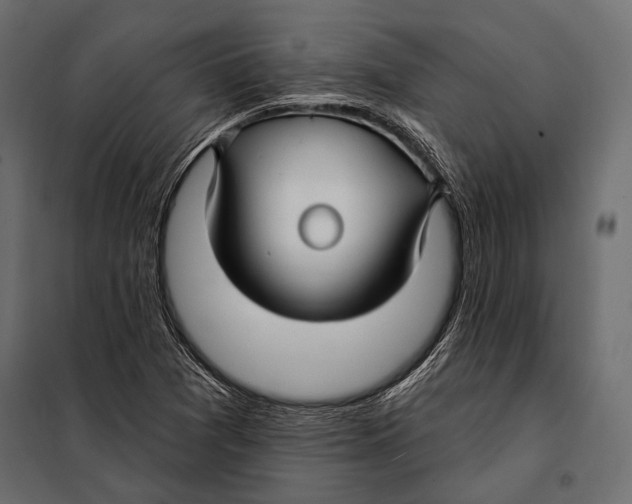 X0000098031361200804251405