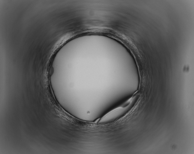 X0000098031362200804251405