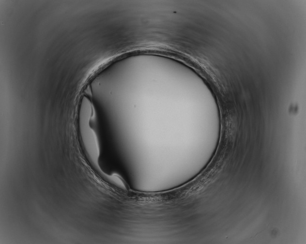 X0000098031363200804251405