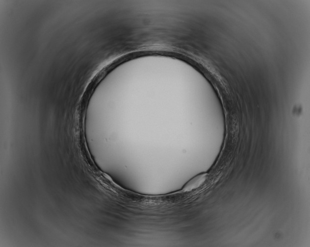 X0000098031364200804251405