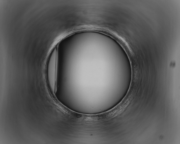 X0000098031365200804251405