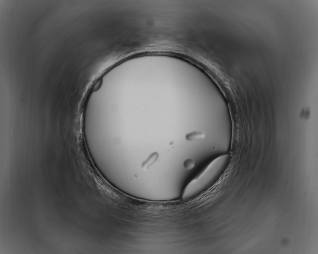 X0000098031366200804251405