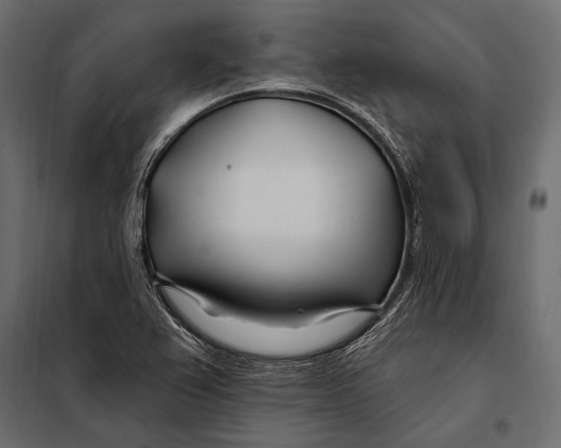 X0000098031367200804251405