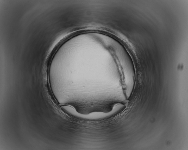 X0000098031368200804251405