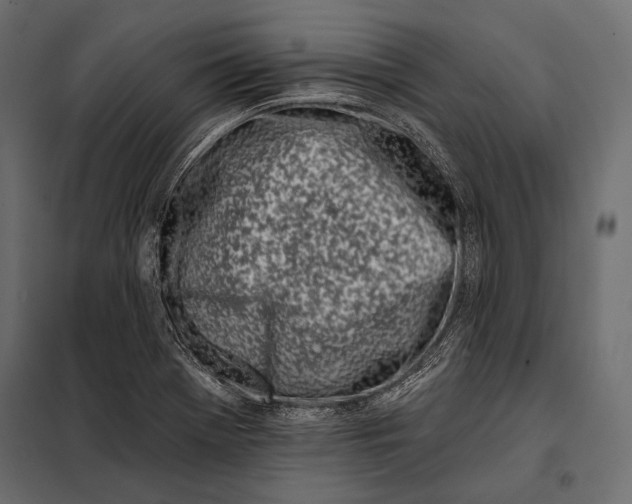 X0000098031369200804251405