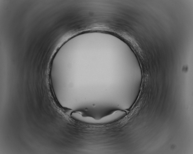 X0000098031374200804251404