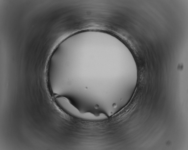 X0000098031375200804251404