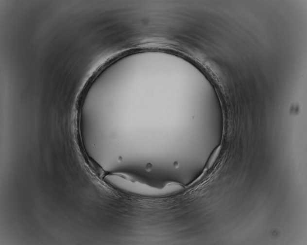 X0000098031376200804251404