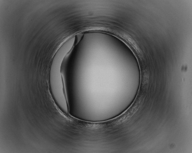 X0000098031377200804251404