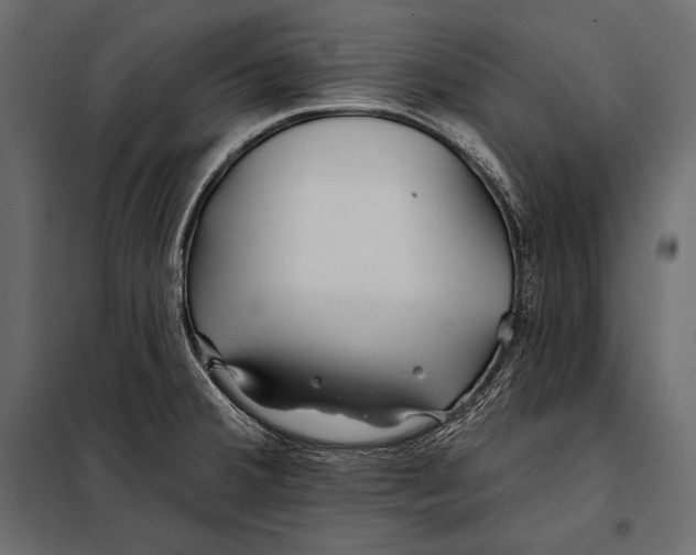 X0000098031380200804251404