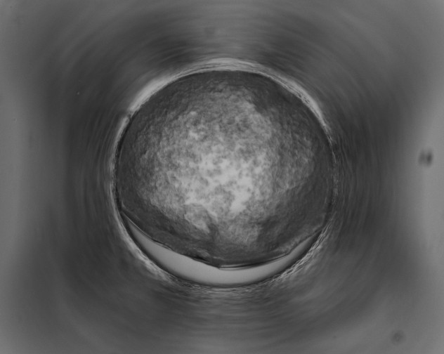 X0000098031381200804251404