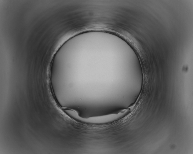 X0000098031382200804251404