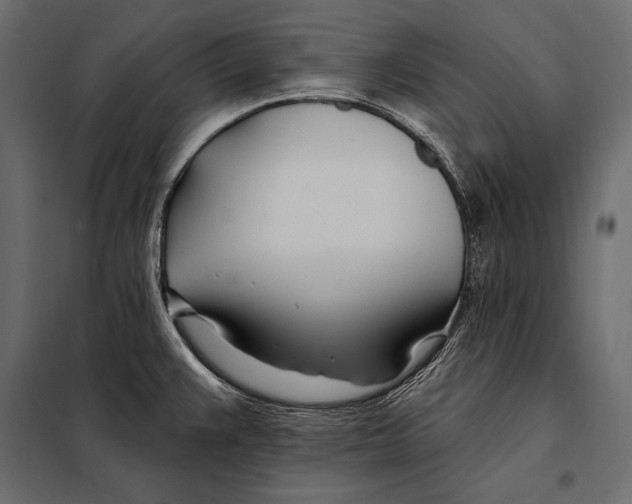 X0000098031383200804251404