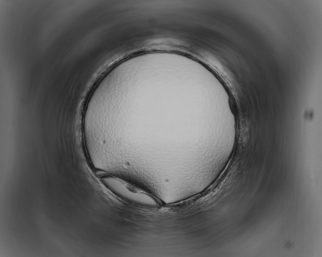 X0000098031384200804251404