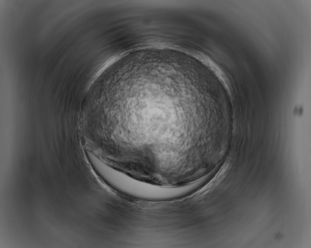 X0000098031385200804251404