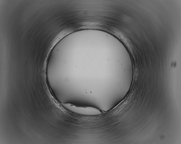 X0000098031386200804251404