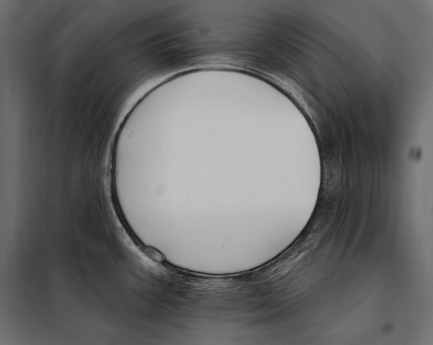 X0000098031387200804251404