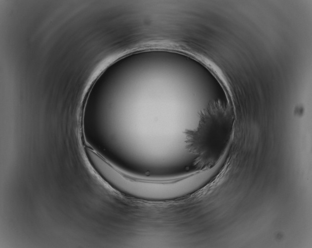 X0000098031389200804251404