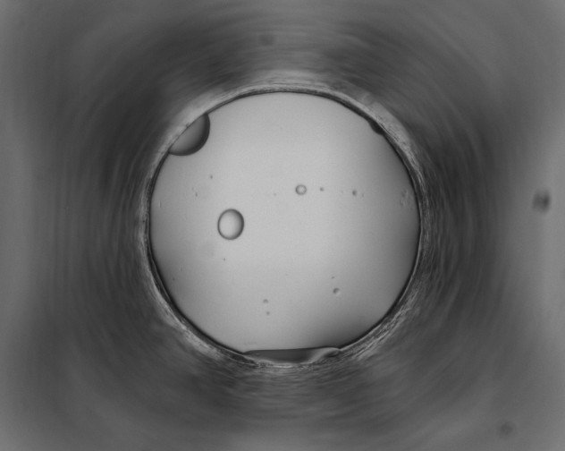 X0000098031390200804251404