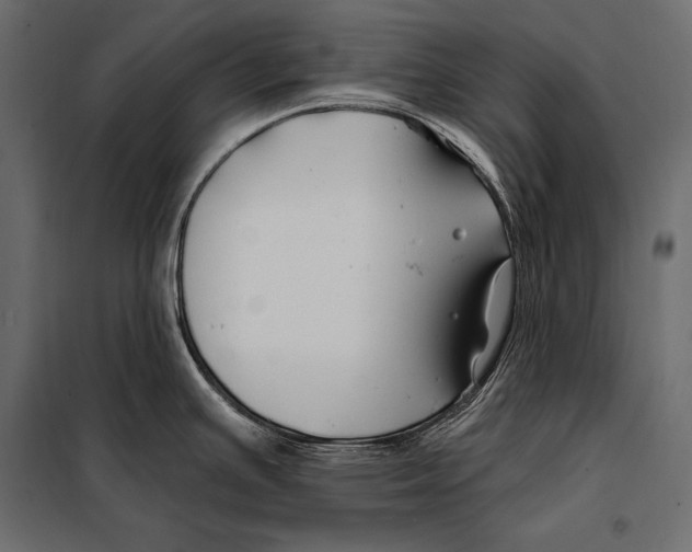 X0000098031391200804251404