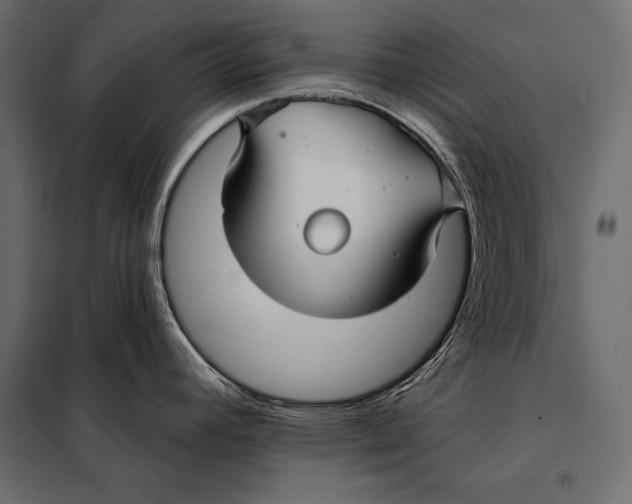 X0000098031392200804251404