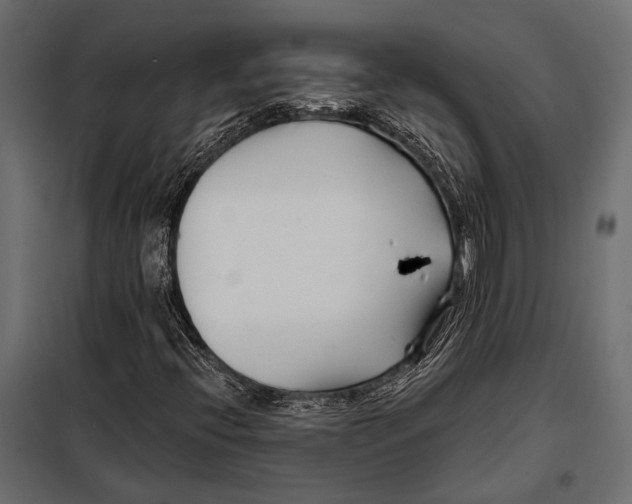 X0000098031396200804251404