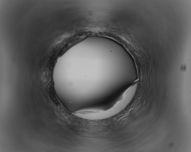 X0000098031398200804251404