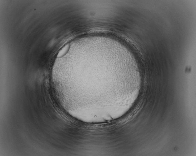 X0000098031401200804251404