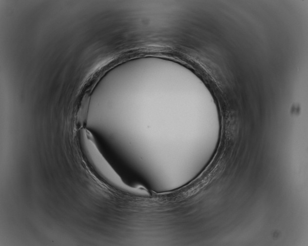 X0000098031402200804251404