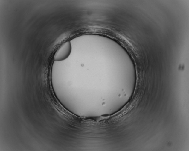 X0000098031403200804251404