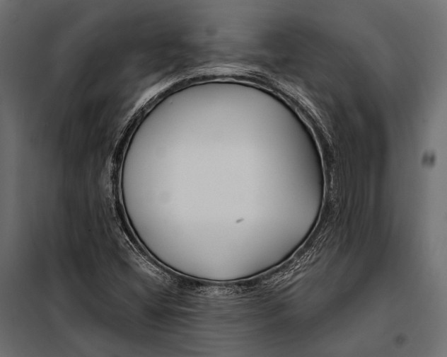 X0000098031404200804251404