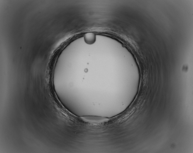 X0000098031406200804251404