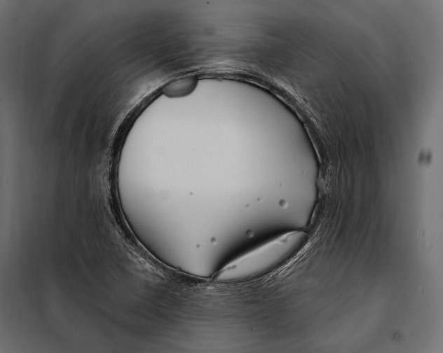 X0000098031410200804251404