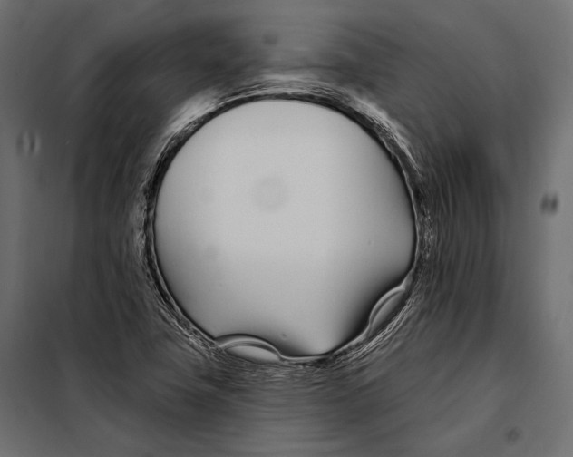 X0000098031411200804251404