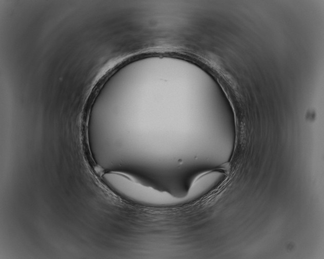 X0000098031412200804251404