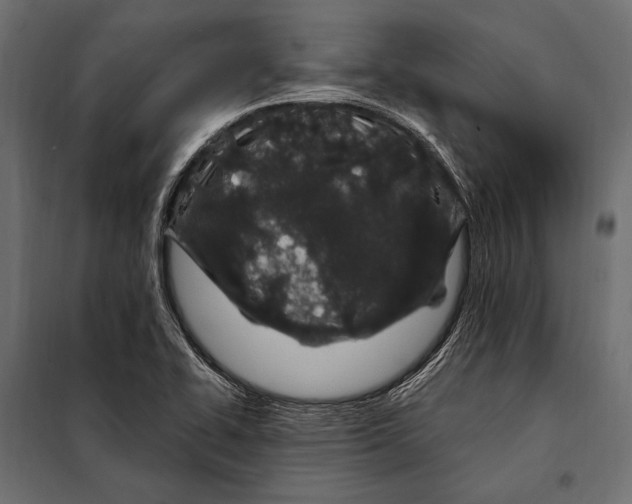 X0000098031414200804251404