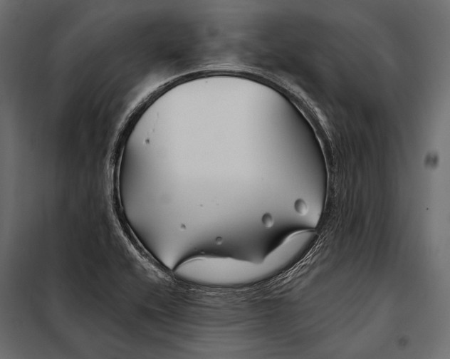 X0000098031416200804251404