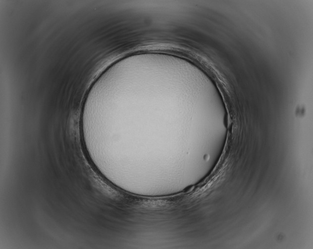 X0000098031417200804251404