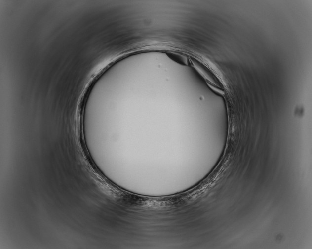 X0000098031419200804251404