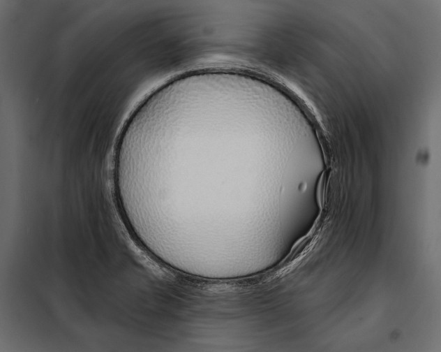 X0000098031421200804251404