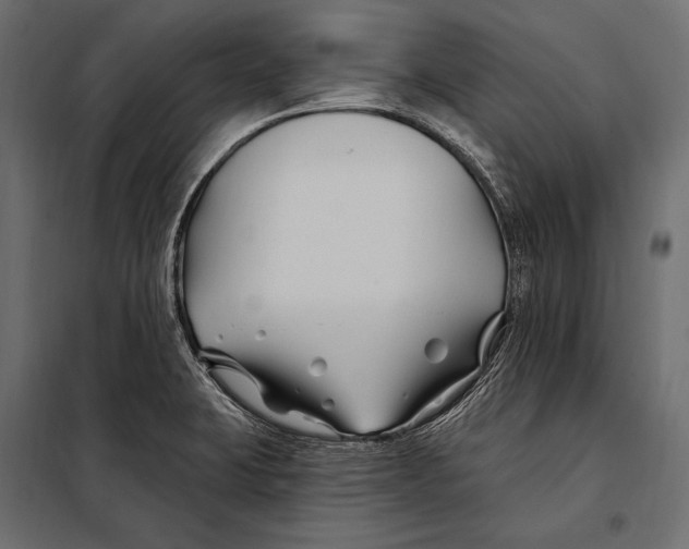 X0000098031423200804251404