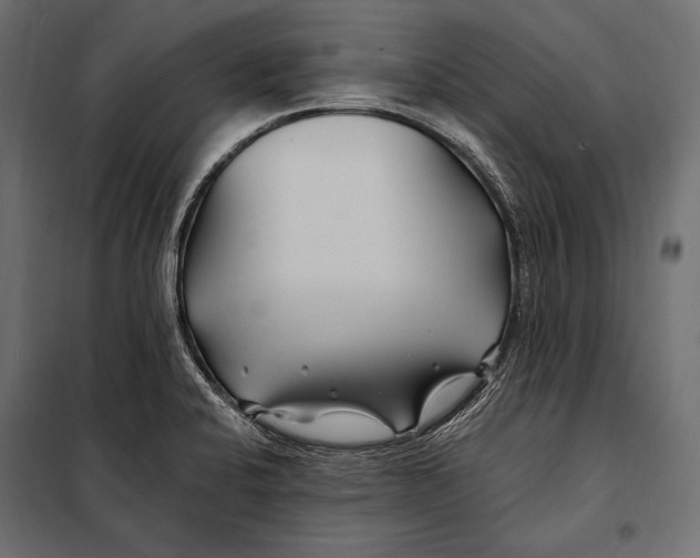 X0000098031424200804251404