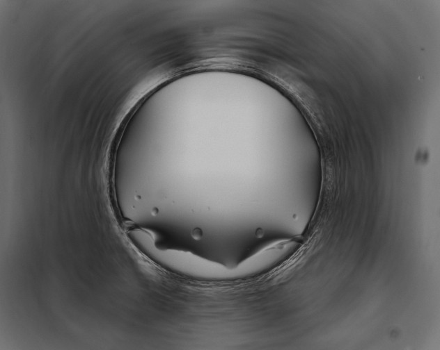 X0000098031426200804251404