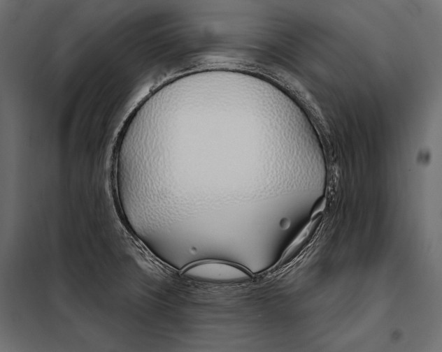 X0000098031427200804251404