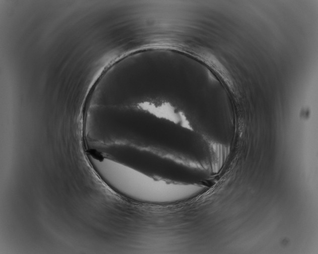 X0000098031428200804251404