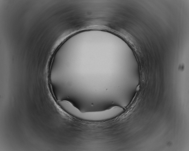 X0000098031430200804251404