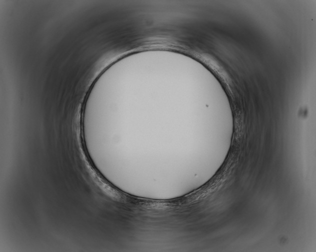 X0000098031431200804251404